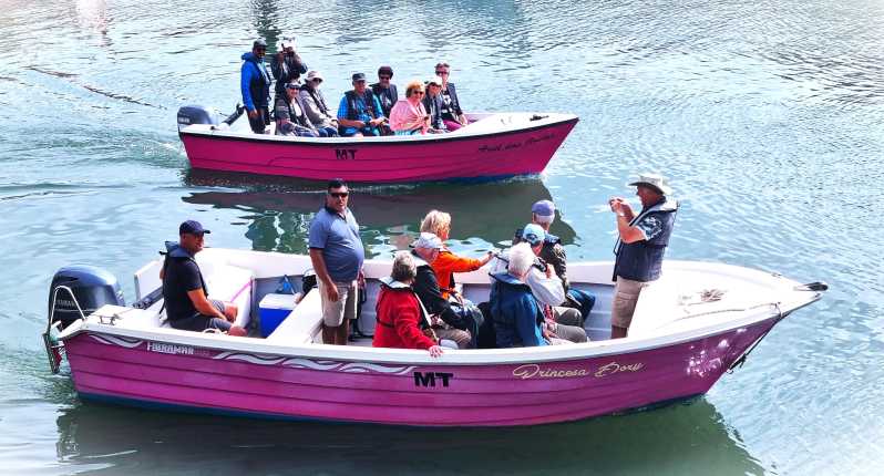 Lagos-Algarve: Grotto Trip - Boat Trip Late afternoon - What the boat feels like: Princesa Dory vs Ariel Das Grutas