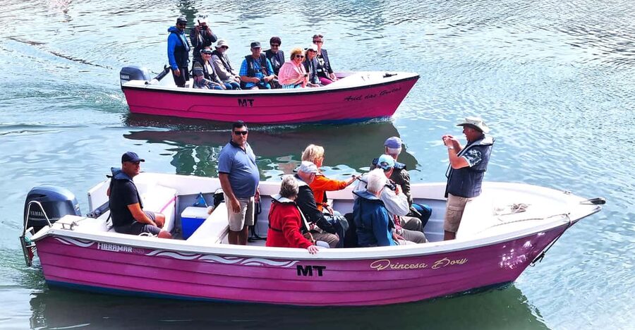 Lagos-Algarve: Grotto Trip - Boat Trip Late afternoon - The main event: guided cruise through grottos and cave formations