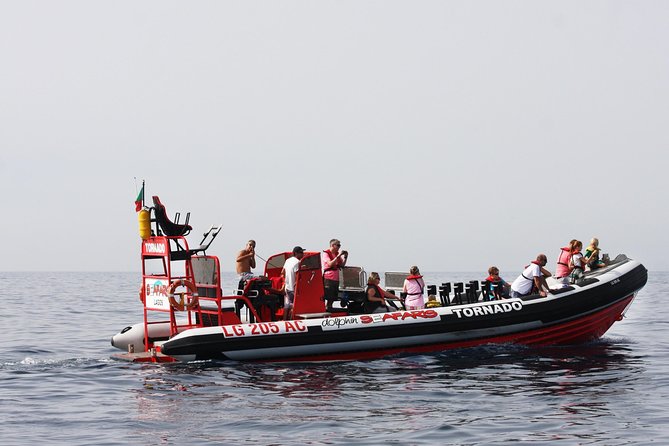 Lagos - Benagil Sea Cave Tour Seafaris - Speedboat + caves: why this Lagos tour feels different