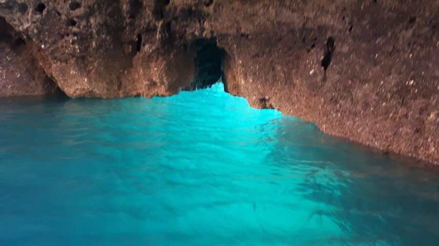 Lagos: Boat Trip to Grottos of Ponta da Piedade and Caves - What to bring (and what’s handled for you)