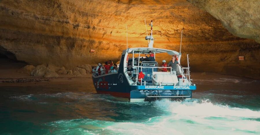 Lagos: Combo Dolphin and Benagil Tour with Marine Biologist - Dolphin Watching With Marine Biologists: What You’re Actually Doing