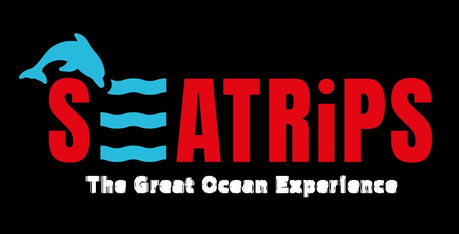 Lagos: Combo Dolphin and Benagil Tour with Marine Biologist - Meeting Hurricane at Marina de Lagos