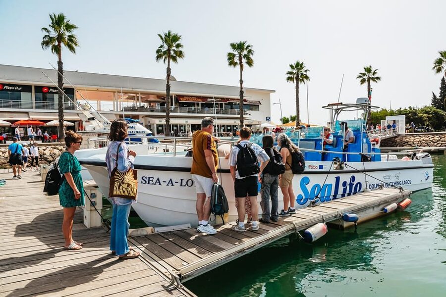 Lagos: Dolphin Watch Tour with Professional Marine Biologist - Conservation at sea: why the science matters after the dolphins move on