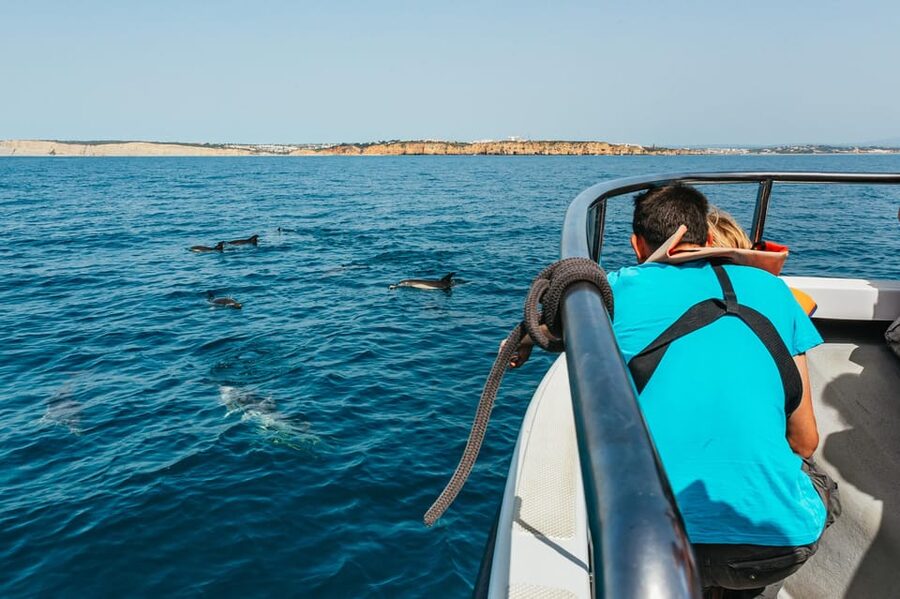 Lagos: Dolphin Watch Tour with Professional Marine Biologist - Practical details that can make or break your day