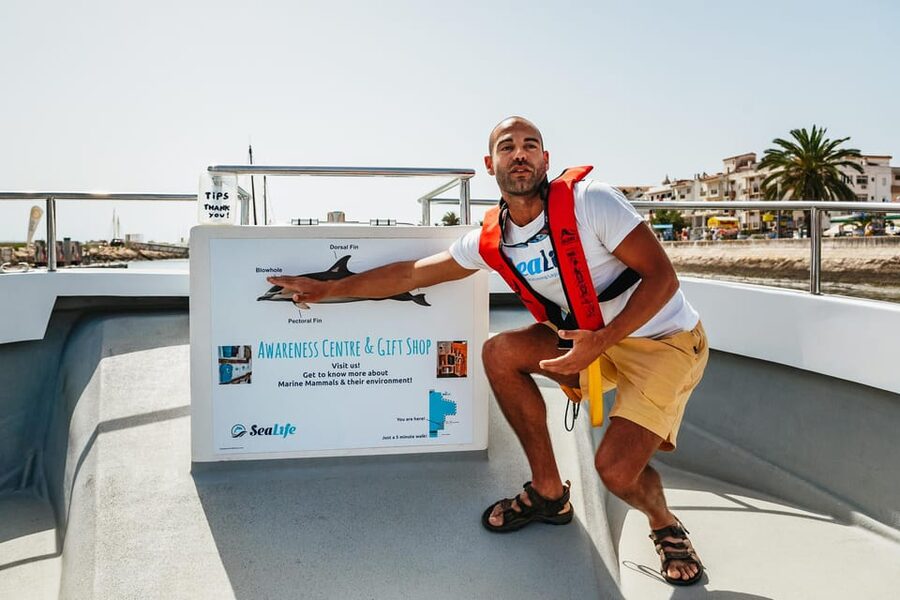 Lagos: Dolphin Watch Tour with Professional Marine Biologist - The 1.5-hour speedboat ride: smooth, fast, and built for watching