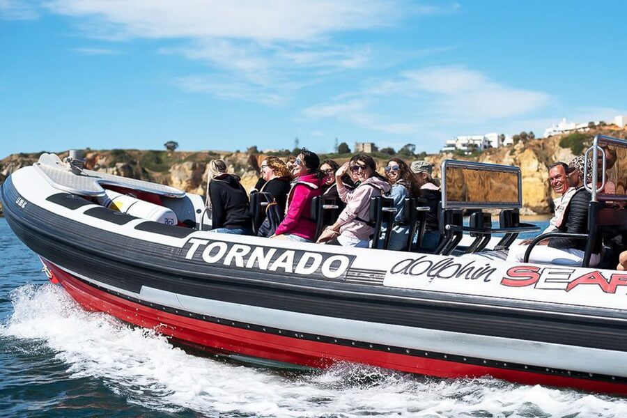 Lagos: Dolphin Watching with Professional Marine Biologists - The 90-Minute Dolphin Search: How the Trip Usually Plays Out