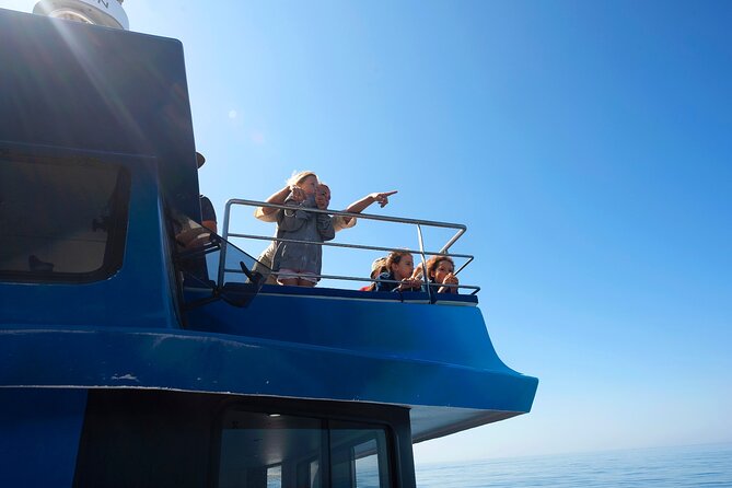 Lagos: Dolphins & Benagil Caves – Catamaran - Where Captain’s Nest Starts the Fun (and How the Timing Feels)
