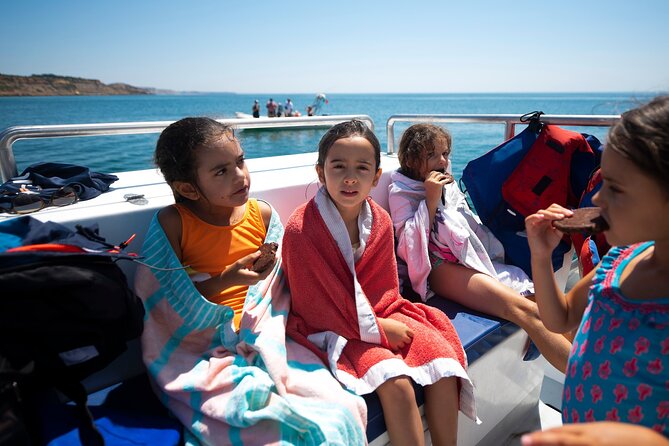 Lagos: Dolphins & Benagil Caves – Catamaran - How Dolphin Spotting Really Works on This Cruise