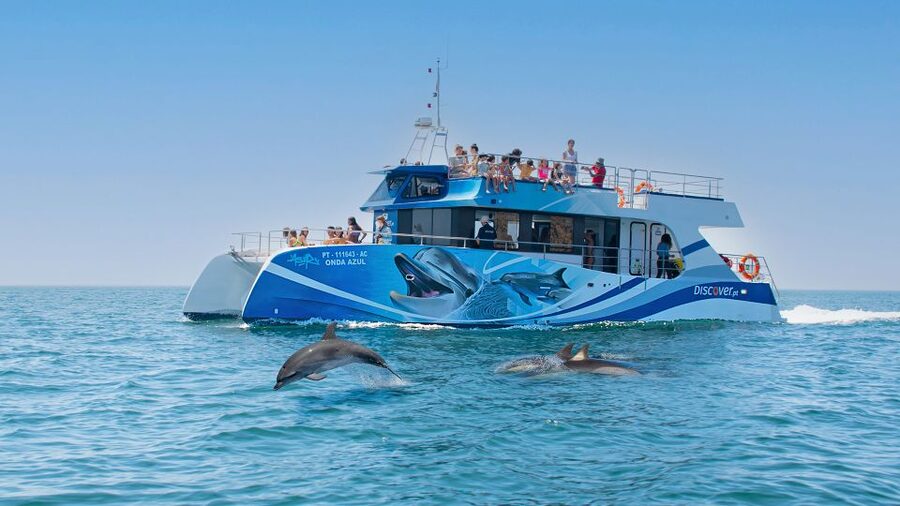 Lagos: Dolphins & Caves - Catamaran - Key things I’d pick this for