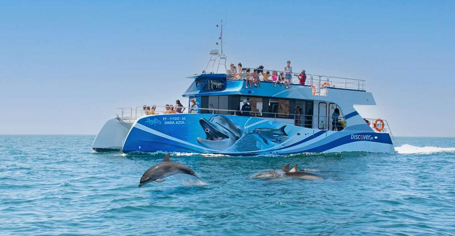 Lagos: Dolphins & Caves - Catamaran - Dolphin time: what you’re likely to see and how the crew handles it