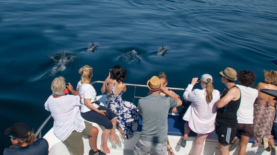 Lagos: Dolphins & Caves - Catamaran - The caves-and-cliffs part: what the coastline stop adds