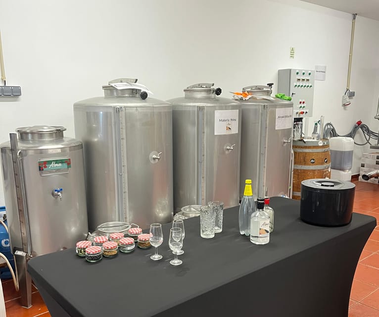 Lagos: Guided Gin Distillery Tour With Tasting at Alma Luz - Tasting in Lagos: learning techniques instead of guessing
