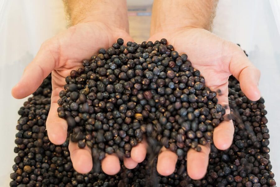 Lagos: Guided Gin Distillery Tour With Tasting at Alma Luz - Practical details that make or break your visit