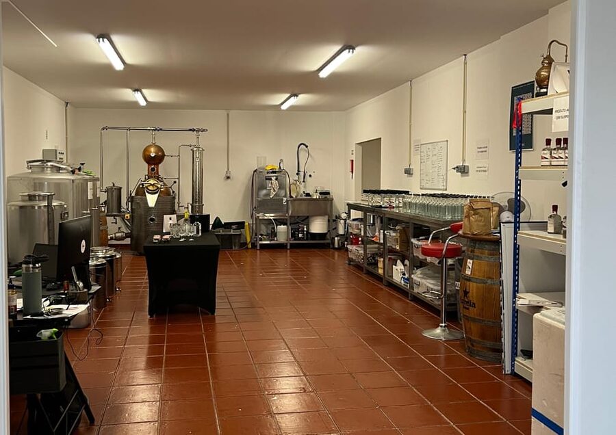 Lagos: Guided Gin Distillery Tour With Tasting at Alma Luz - Botanicals and Algarve character: what makes their gin distinct