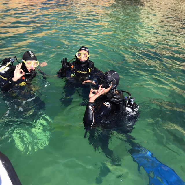 Lagos: Guided Scuba Diving Trip for Beginners - Price and Value: What $135 Actually Buys