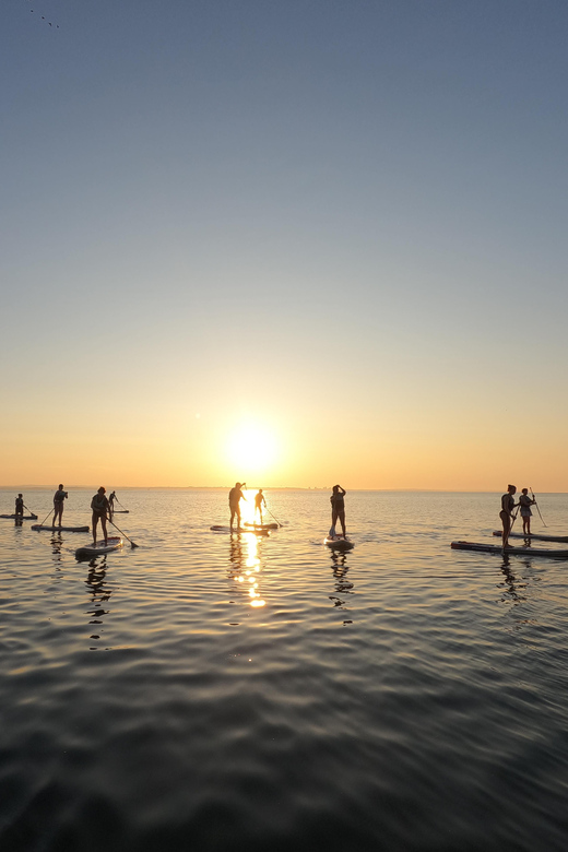 Lagos: Guided SUP Tour to Ponta da Piedade Caves - The 10–15 minute beach lesson that sets the whole tone