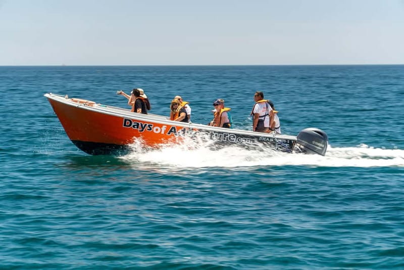 Lagos: Ponta da Piedade Caves Boat Tour - What to Wear: Wind, Spray, and Morning Chill