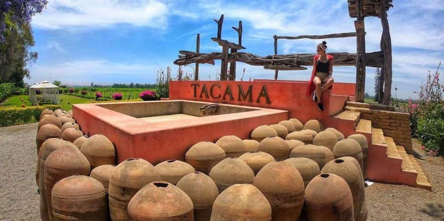 Lagos/Praia da Luz: Wine Tour, Tastings, Tapas, and Music - Who this tour fits best