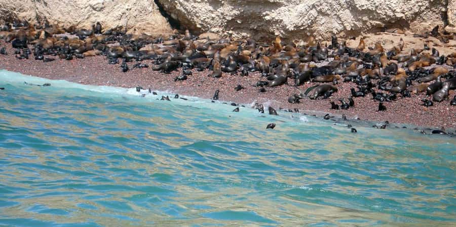 Lagos/Praia da Luz: Wine Tour, Tastings, Tapas, and Music - Price and value: why $68 can make sense here