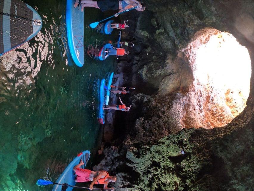 Lagos SUP Caves&Grottoes Tour at Sunrise, Ponta da Piedade - Wildlife flickers in the water