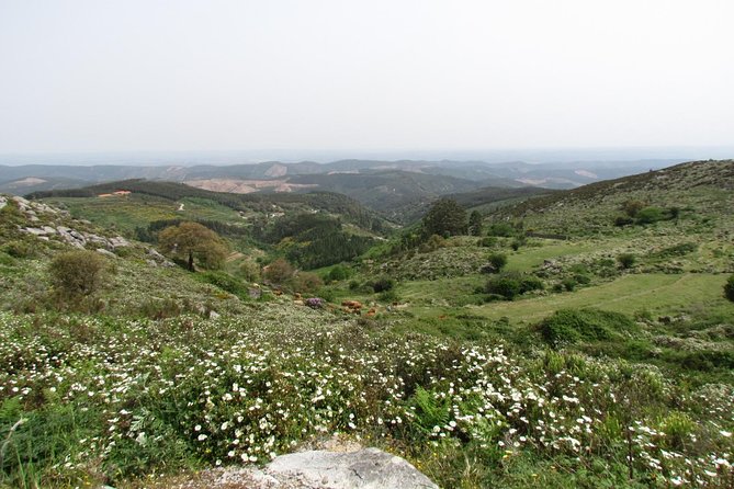 Laid-back birdwatching week - Day 3: Caldas de Monchique brings the hills into play