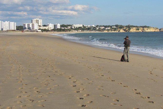 Laid-back birdwatching week - Day 6: Castro Verde countryside and Igreja da Misericordia
