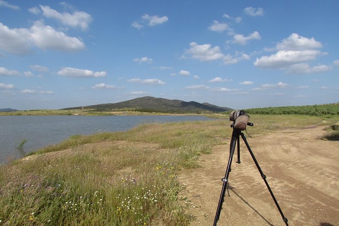 Laid-back birdwatching week - Day 1: Ria de Alvor Nature Reserve sets the week’s tone