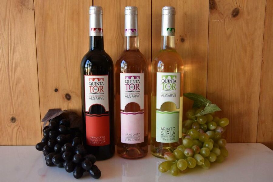 Loulé: Quinta da Tôr Winery Guided Tour and Wine Tasting - Quinta da Tôr in Loulé: the setting and the feel of the day