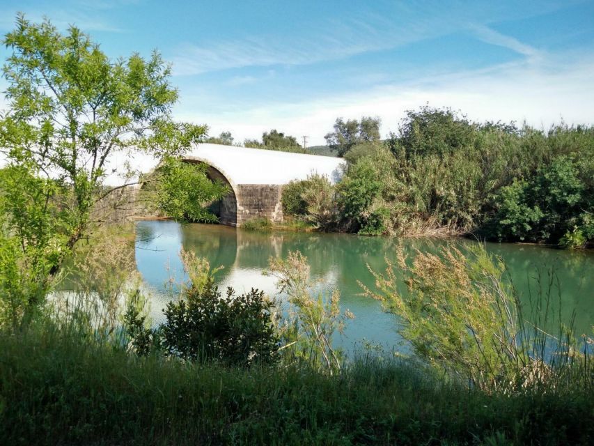 Loulé: Quinta da Tôr Winery Guided Tour and Wine Tasting - The wine tasting: 4 wines, chosen around your tasting style