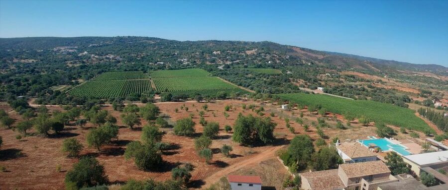 Loulé: Quinta da Tôr Winery Guided Tour and Wine Tasting - Bread and homemade olive oil: the simple pairing that makes it regional