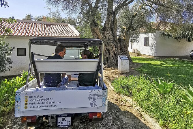 Meet Santa Luzia / Capital do Polvo / Salinas in a 100% electric Tuk Tuk - Stop 1: Praça da República and Rua da Liberdade (your center-stroll warm-up)