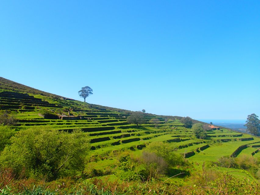 Monchique and Fóia: Half Day Tour - Key highlights worth waking up for