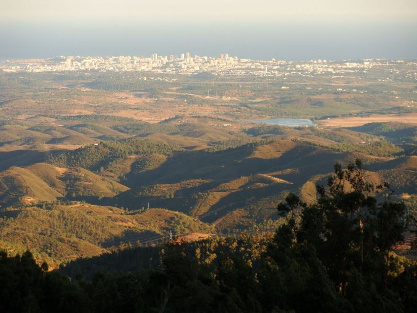 Monchique and Fóia: Half Day Tour - The climb to Fóia: stops that help you enjoy the journey