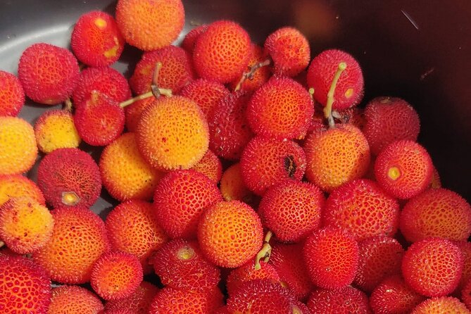 Monchique Hills & Flavors - Marmelete and Medronho distillery: from strawberry trees to spirits