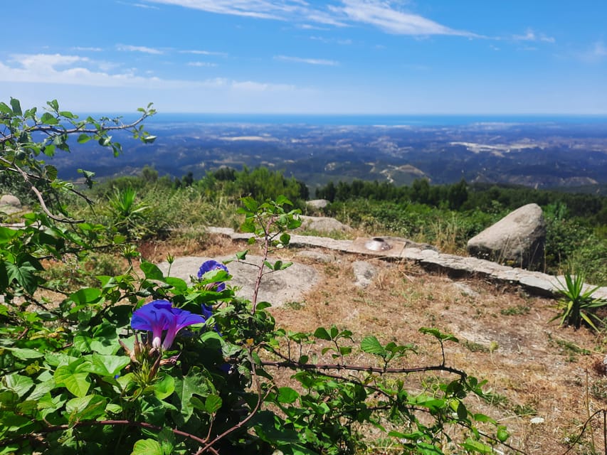 Monchique & Silves: guided day trip - Key takeaways before you go