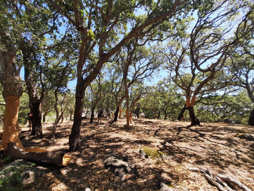 Monchique & Silves: guided day trip - Why Monchique and Silves beats a coast-only day