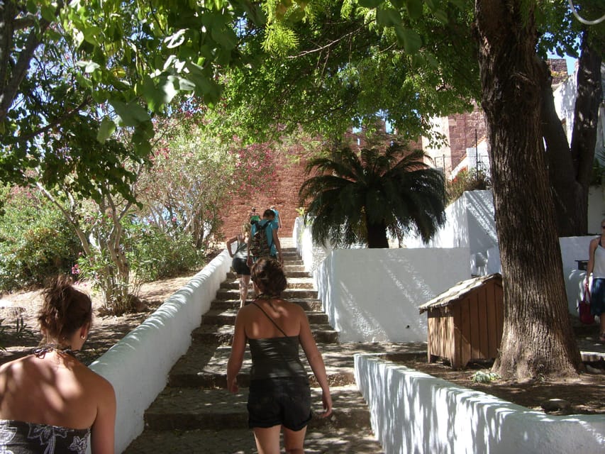 Monchique & Silves: guided day trip - Monchique: cork forest learning and traditional mountain life