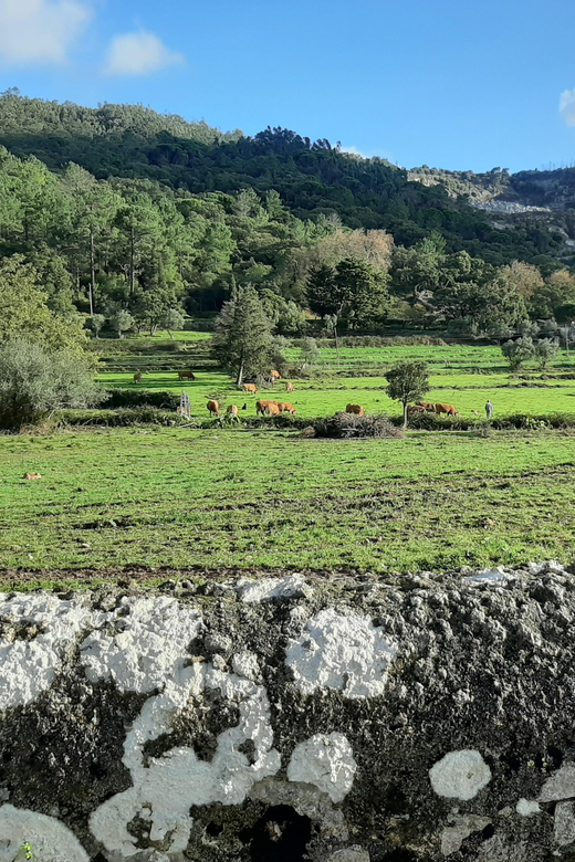 Monchique & Silves: guided day trip - Price and value: what $159 gets you (and what you add)