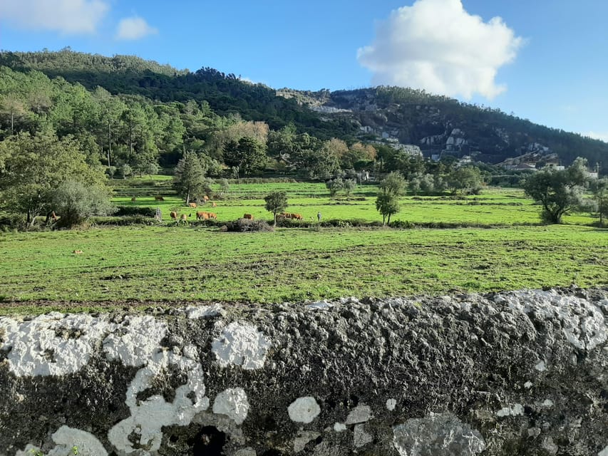 Monchique & Silves: guided day trip - Pickup, van time, and how the day stays comfortable