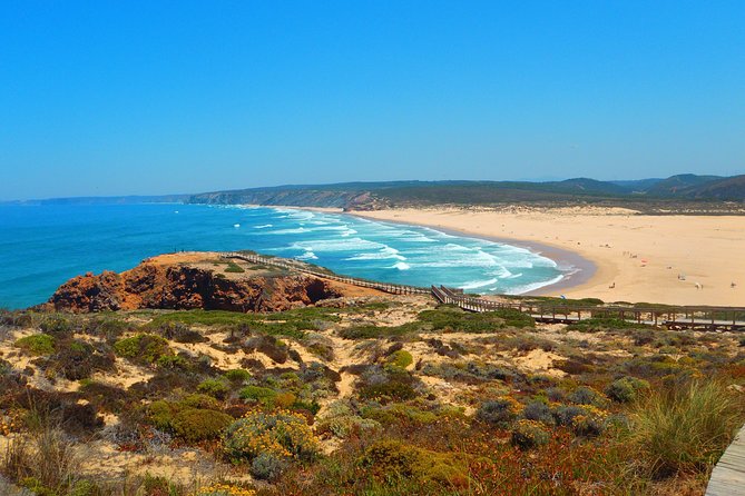 National Park West Coast Half Day Tour from Lagos - Amado Beach: The Surf-Famous Stop (With Photo Time)