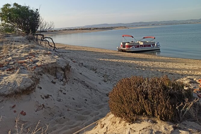 Nature Catamaran Tour from Faro - Ria Formosa Natural Park from the water: what you’re really going for