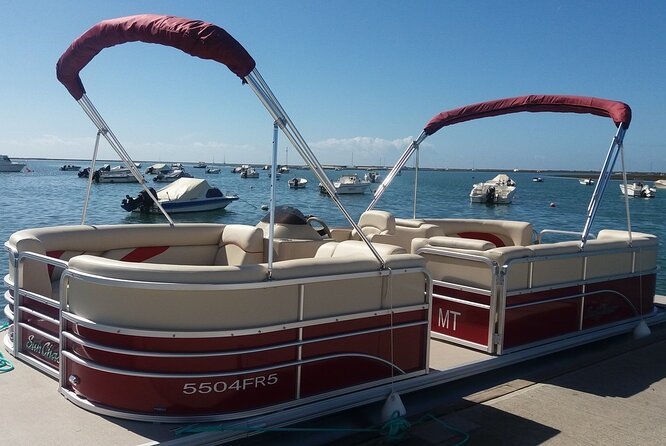 Nature Catamaran Tour from Faro - Value check: what you’re paying $31.87 for