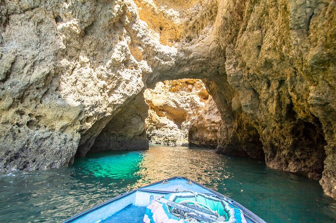 NEW Lagos-Watching Dolphins and Benagil Cave with Biologists - Dolphin species odds and how the crew improves your chances