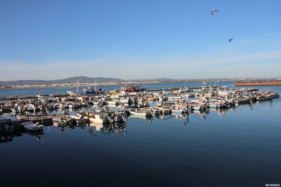 Olhão: 3 Islands Guided Sightseeing Tour with Lunch - Ilha do Farol and the Santa Maria Lighthouse Area: Time to Wander and Possibly Dip