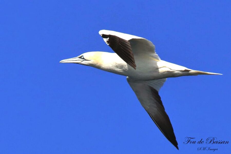 Olhão: 3 Islands Guided Sightseeing Tour with Lunch - Price and Value: Is $88 a Good Deal for Three Islands and Lunch?