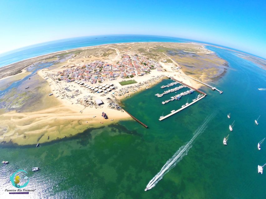 Olhão: 4-Hour Ria Formosa Islands Tour - Farol Island pass-by and Santa Maria Lighthouse views