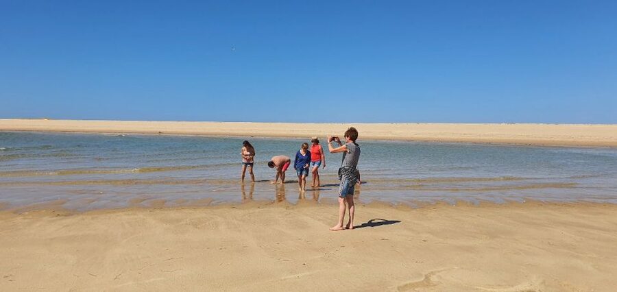 Olhão:5h ride 3 stops on the beaches and islands Ria Formosa - Key highlights you’ll feel right away
