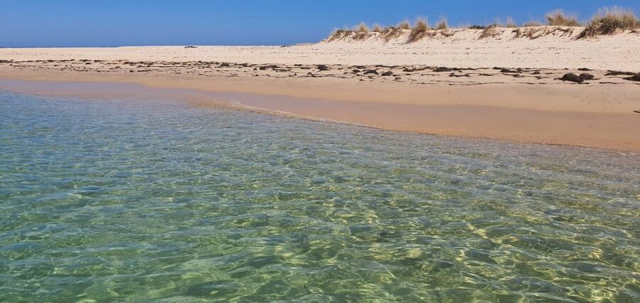 Olhão:5h ride 3 stops on the beaches and islands Ria Formosa - Price and value at about $53: what you’re really paying for