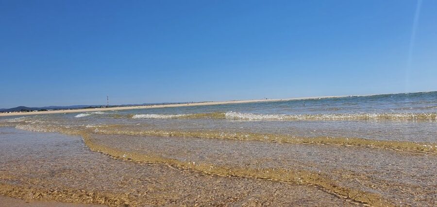 Olhão:5h ride 3 stops on the beaches and islands Ria Formosa - Guide quality: what to expect from people like Al, Álvaro, Fernando, and Carlos