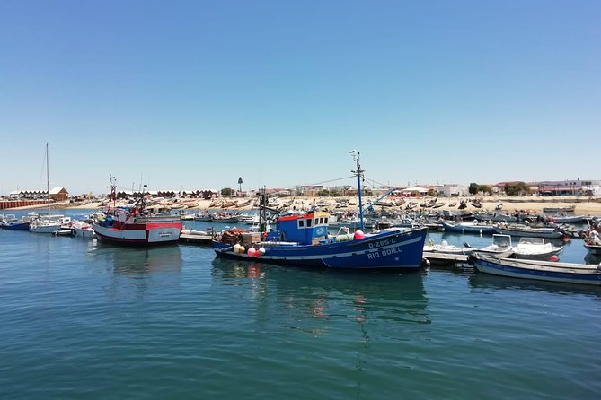Olhao Authentic Tour: Market and Ria Formosa Natural Park - Best timing, what to pack, and how to move through the day